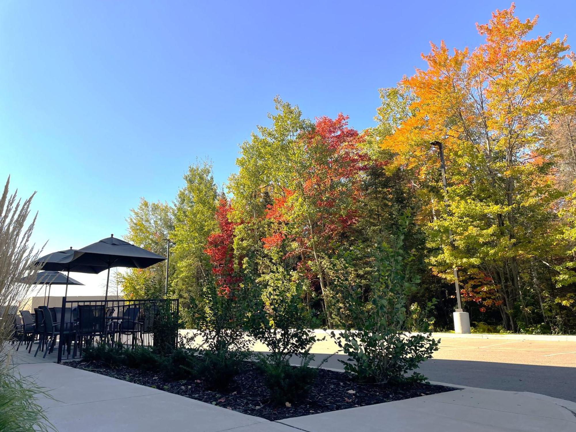 Fairfield By Marriott Inn & Suites North Bay Exteriör bild
